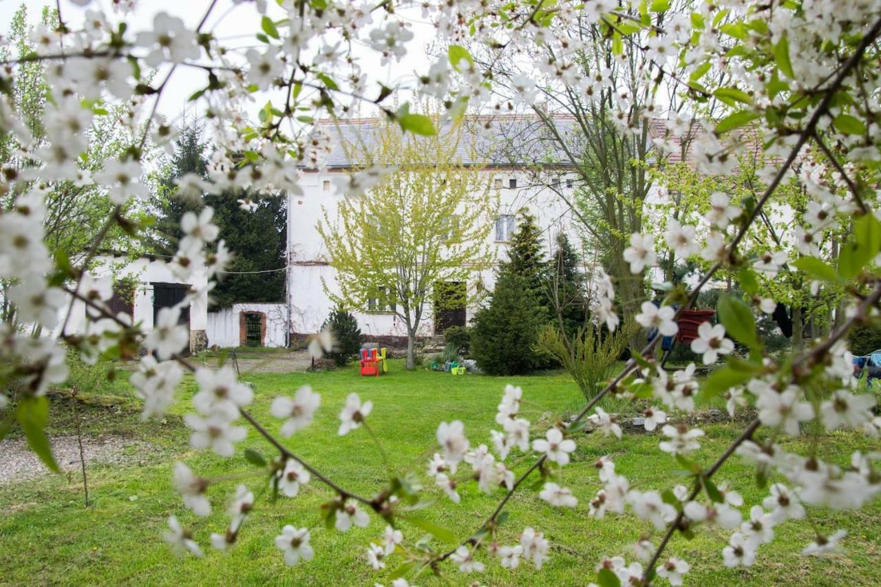Gospodarstwo U Krakusa Doboszowice Esterno foto