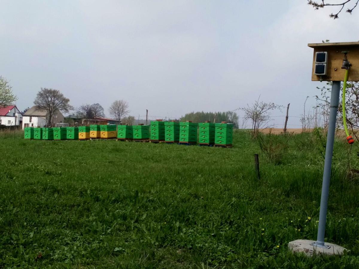 Gospodarstwo U Krakusa Doboszowice Esterno foto